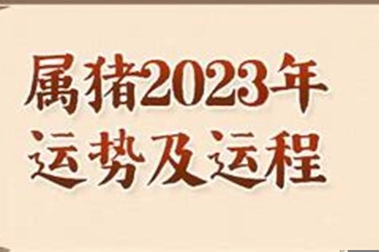 属猪人2023年全年运势详解