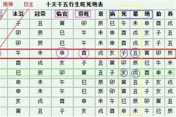 属虎48岁本命年穿戴