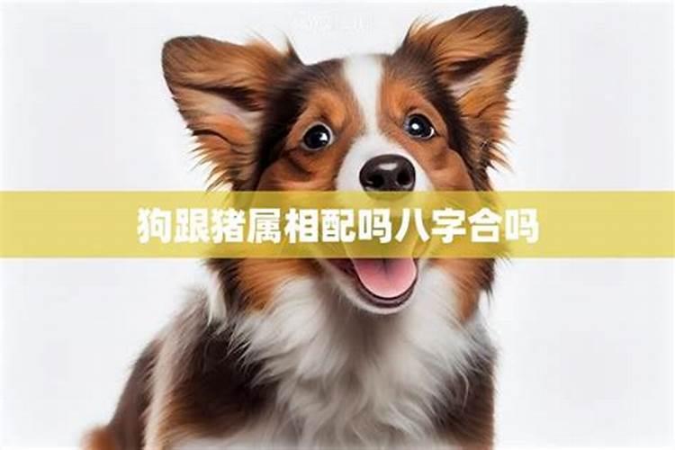 做梦犯小人是怎么回事