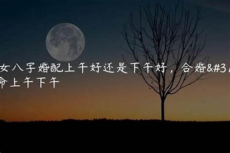 太阳金星都是天蝎