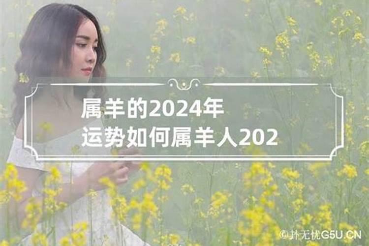 2024年羊的运势如何