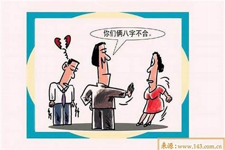 女人什么生肖好看