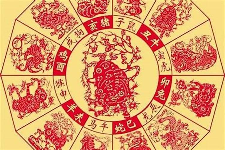 今年属蛇犯太岁是什么意思啊