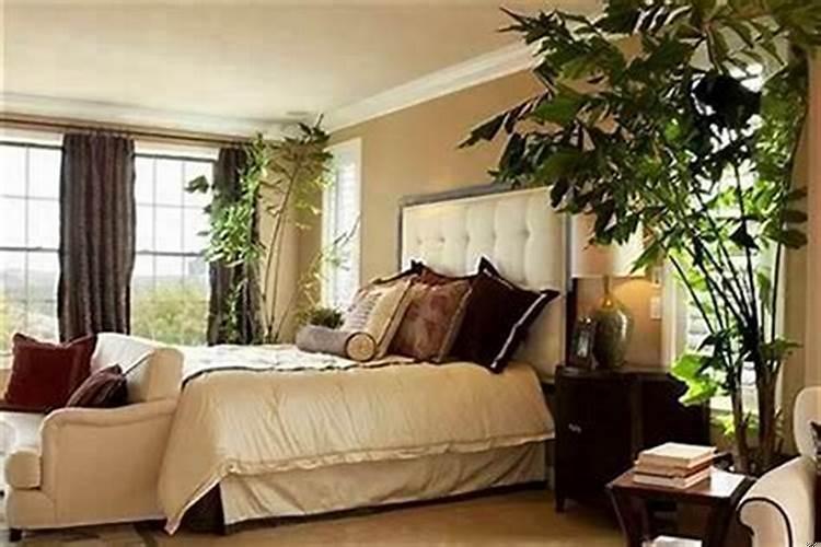 家里有几个卧室风水最好？床头放绿植风水好不好