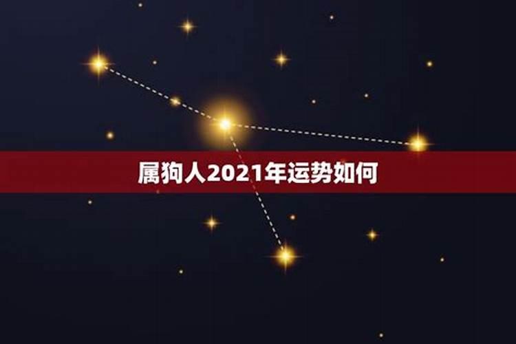 属狗人2021年婚姻运势