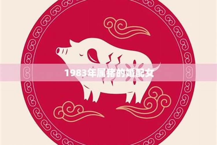 属猪女今年的婚姻状况（属猪女的桃花运）