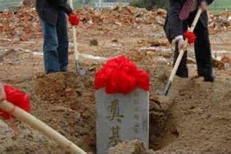 梦见白鸽子死了什么预兆