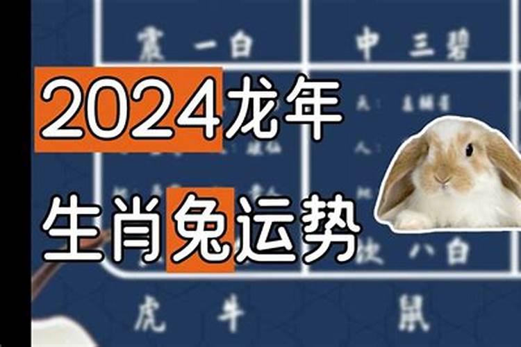 2024年生肖兔运势