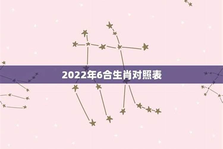 明年是什么生肖年2022沈默