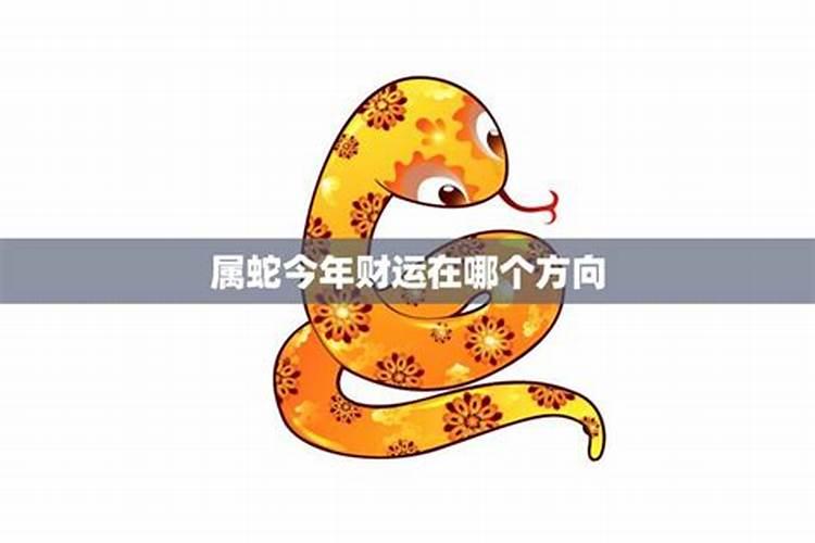 属蛇今年的财运怎么样啊