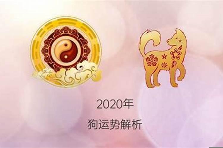 属狗的2020年全年运势