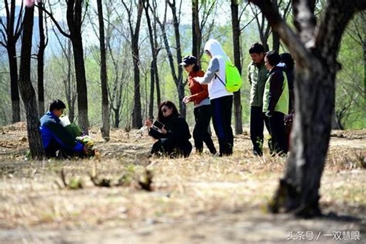 女命伤官多为何婚姻不顺