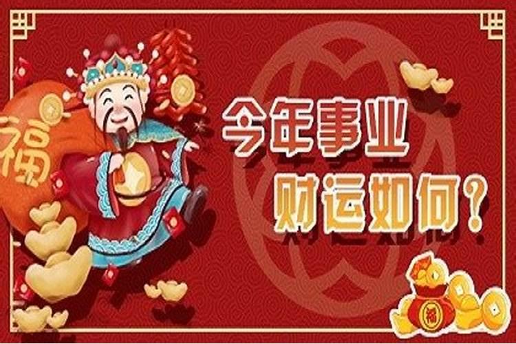 鼠年今年的运气如何84年