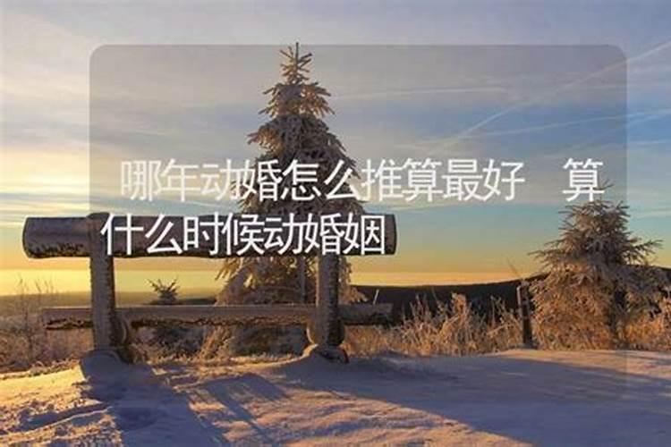 本命年虎年要注意什么穿什么