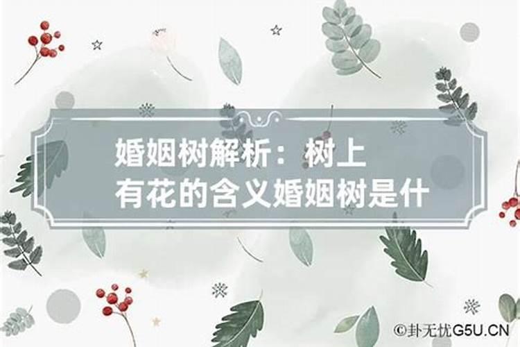 属猪的婚姻与命运十二生肖配对是什么意思