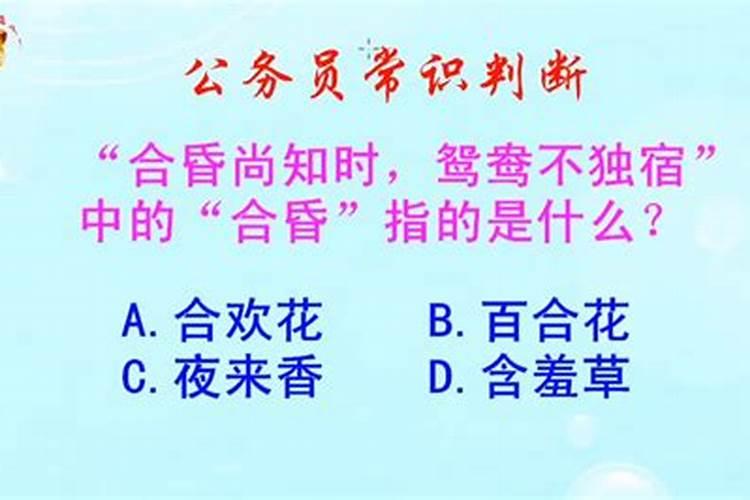 夫妻婚姻存续期间债务认定案件怎么办理的