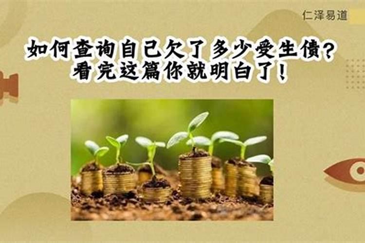 本命年的虎能戴金吗