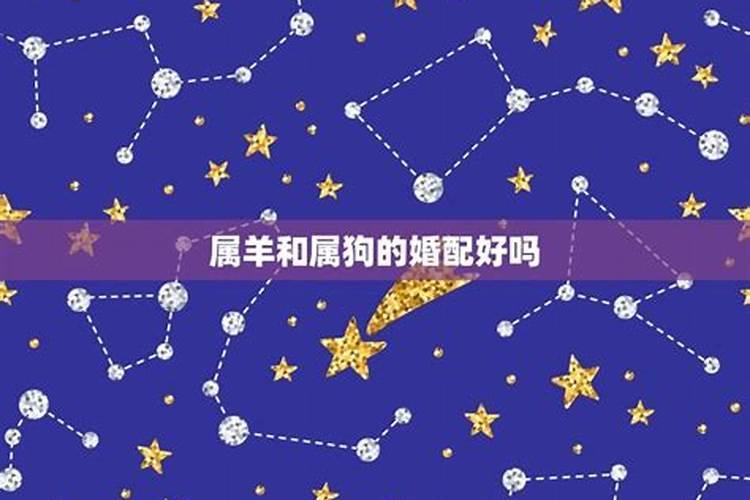 测算金星星座