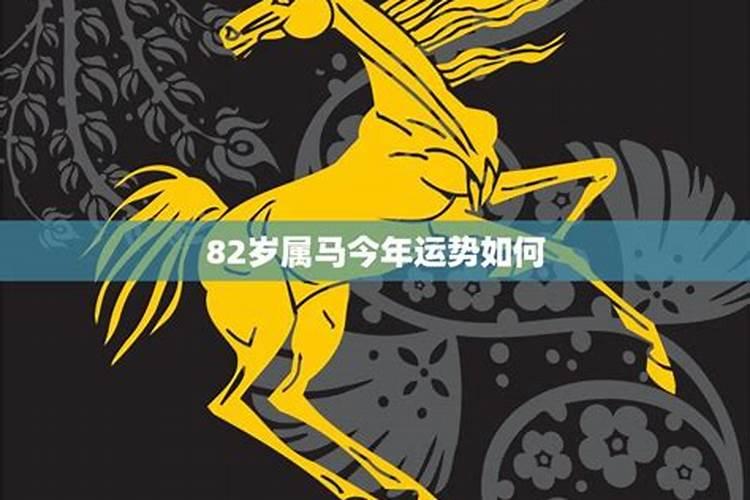 属马人今年运势2020年每月运势