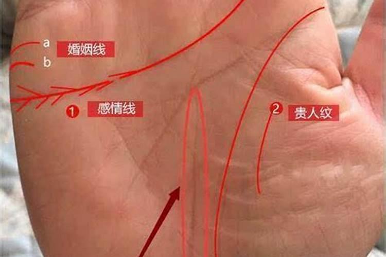 犯太岁的生肖佩戴什么好呢