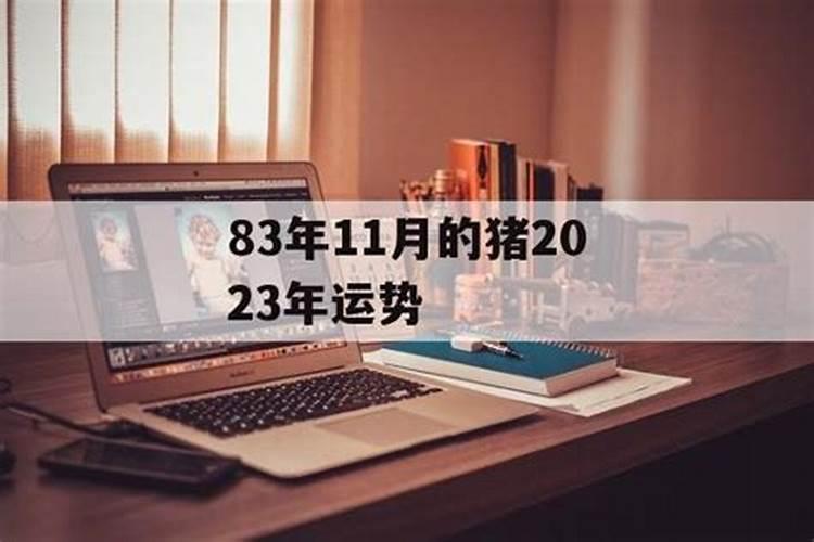 83年11月猪2020年运势怎么样