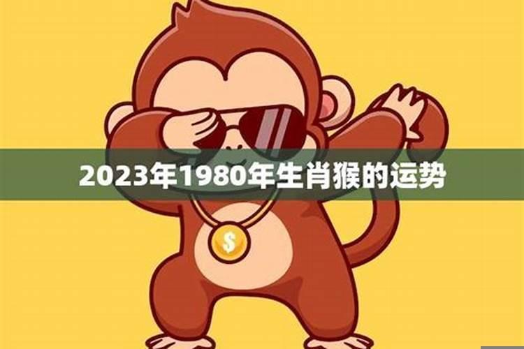 1980年猴运势如何