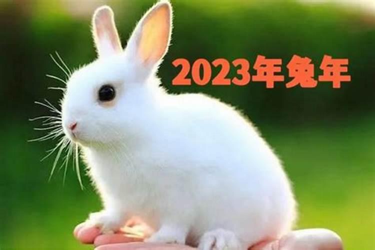 2023年的流年运势，怎样看大运流年好不好