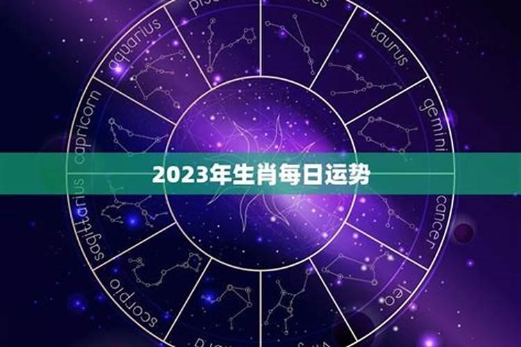 2023年12生肖每月每日运势（兔年在鼠年的运气好吗）