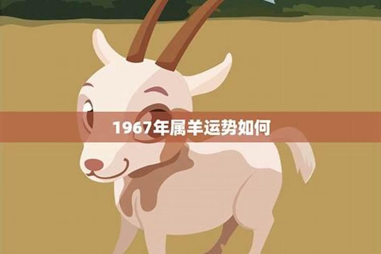 1967年属羊人今年的运势