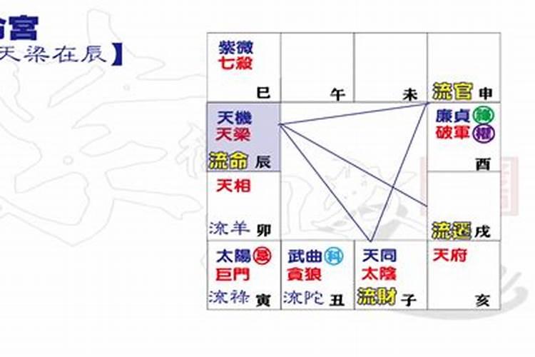 流年天梁坐命