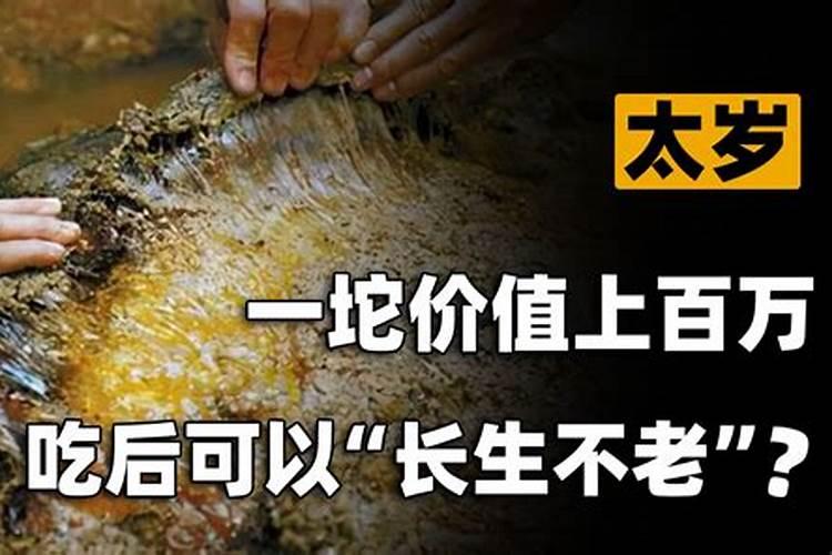 蛇害太岁刑太岁是什么意思