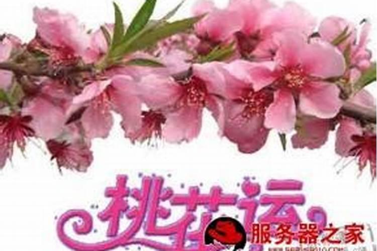 鼠年今年犯太岁吗2022岁