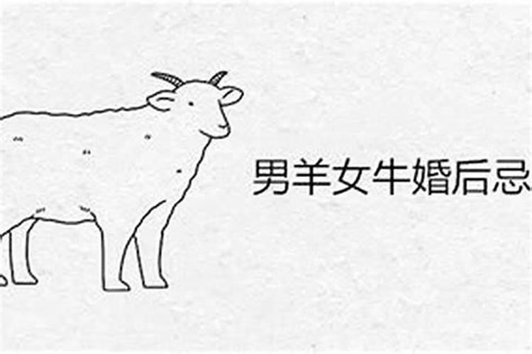 从八字怎么看配偶星是什么