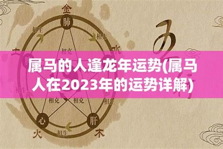 属马人2023年运势女，2014年属马的学业