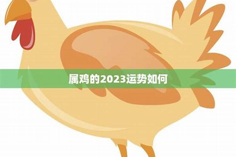 81年生肖鸡2023年的运势，属鸡的财运和运气如何