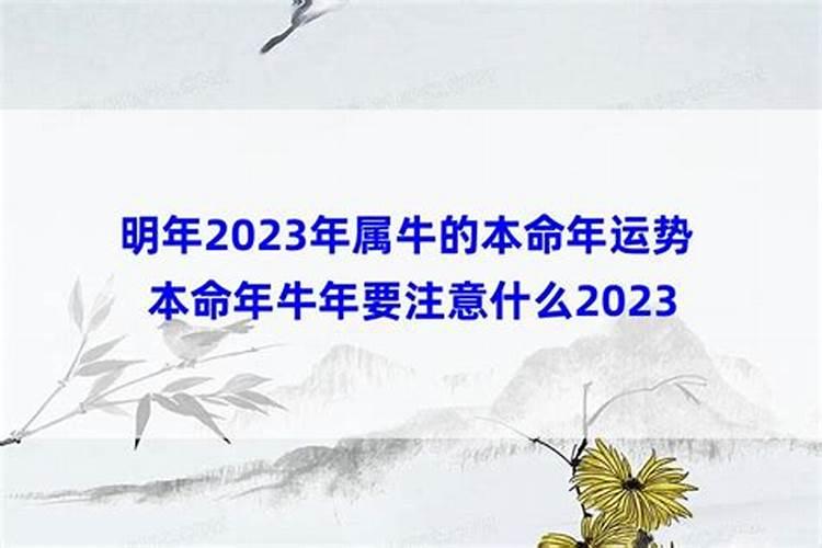 2023牛年本命年忌讳，犯太岁应注意的事项