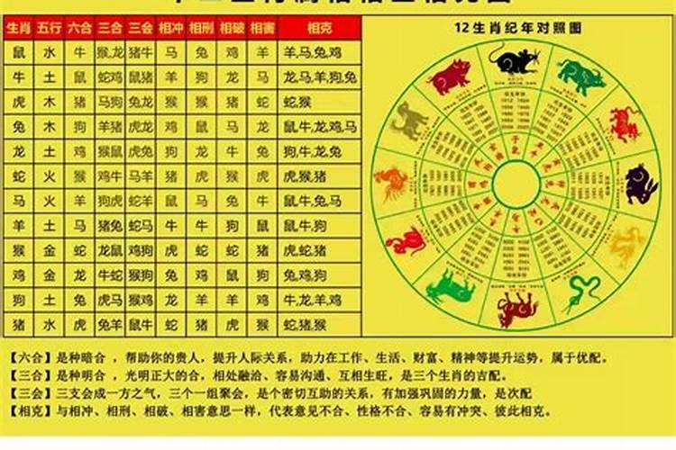 2023年犯冲的生肖(刑太岁年份应该注意什么)