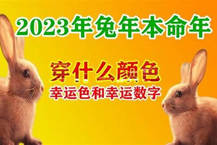 今年本命年穿什么颜色的衣服好2023