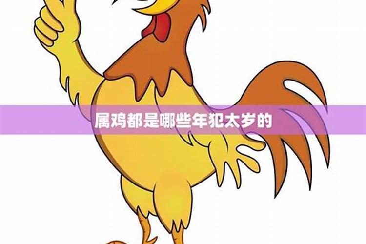 属鸡犯太岁吗2021