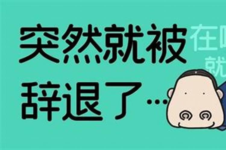 梦到公司把我开除了,领导骂我怎么回事