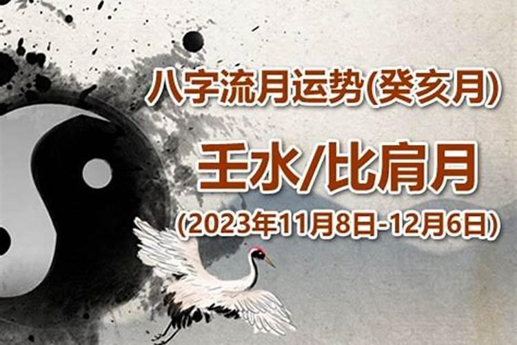 八字看创业时间，壬水人2023运势