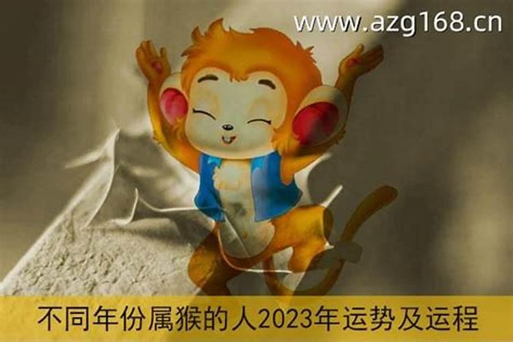 2023年生肖猴运势