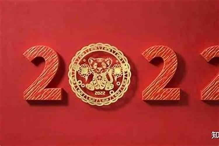 属兔的今年犯太岁吗?2022