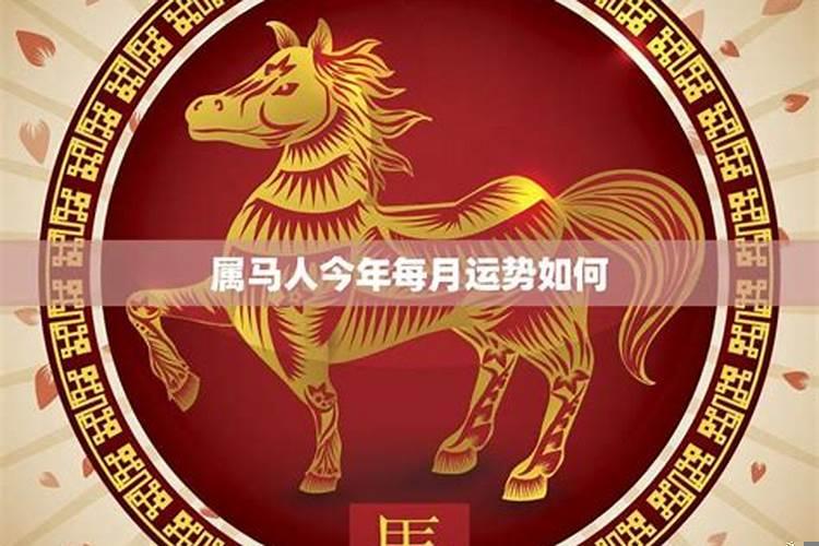 属相马今年每月运势怎么样