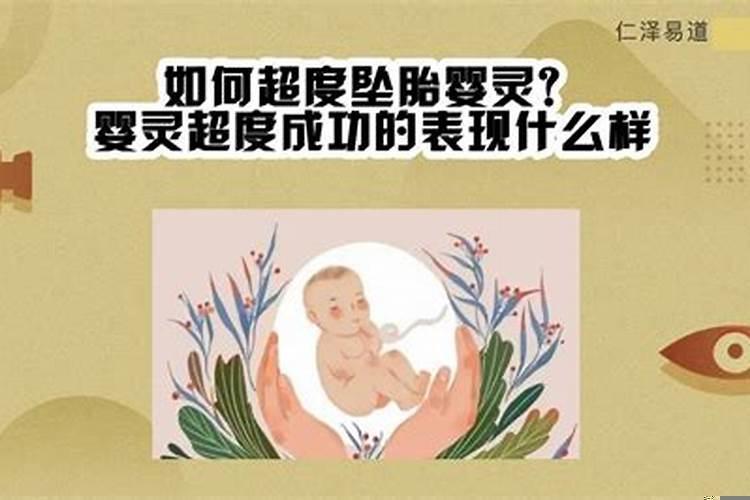 童子命命犯华盖什么意思