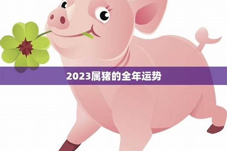 2023年生肖猪的全年运势