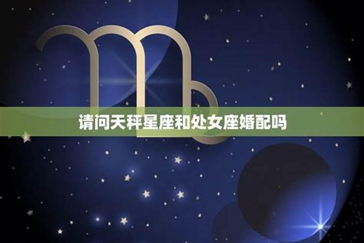 十二星座的老公是什么星座的