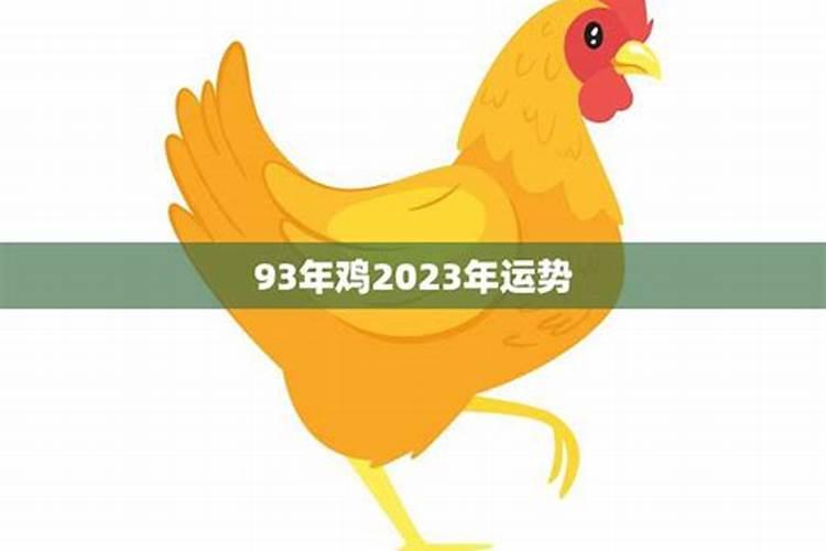 93年属鸡男2023年运势及运程详解