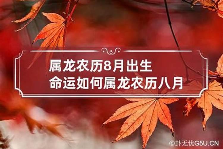 农历8月属龙命运好不好