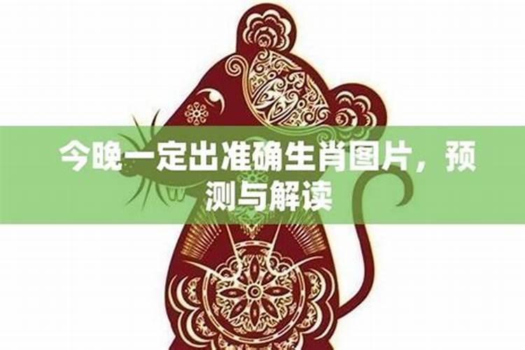 今天农历生肖属什么